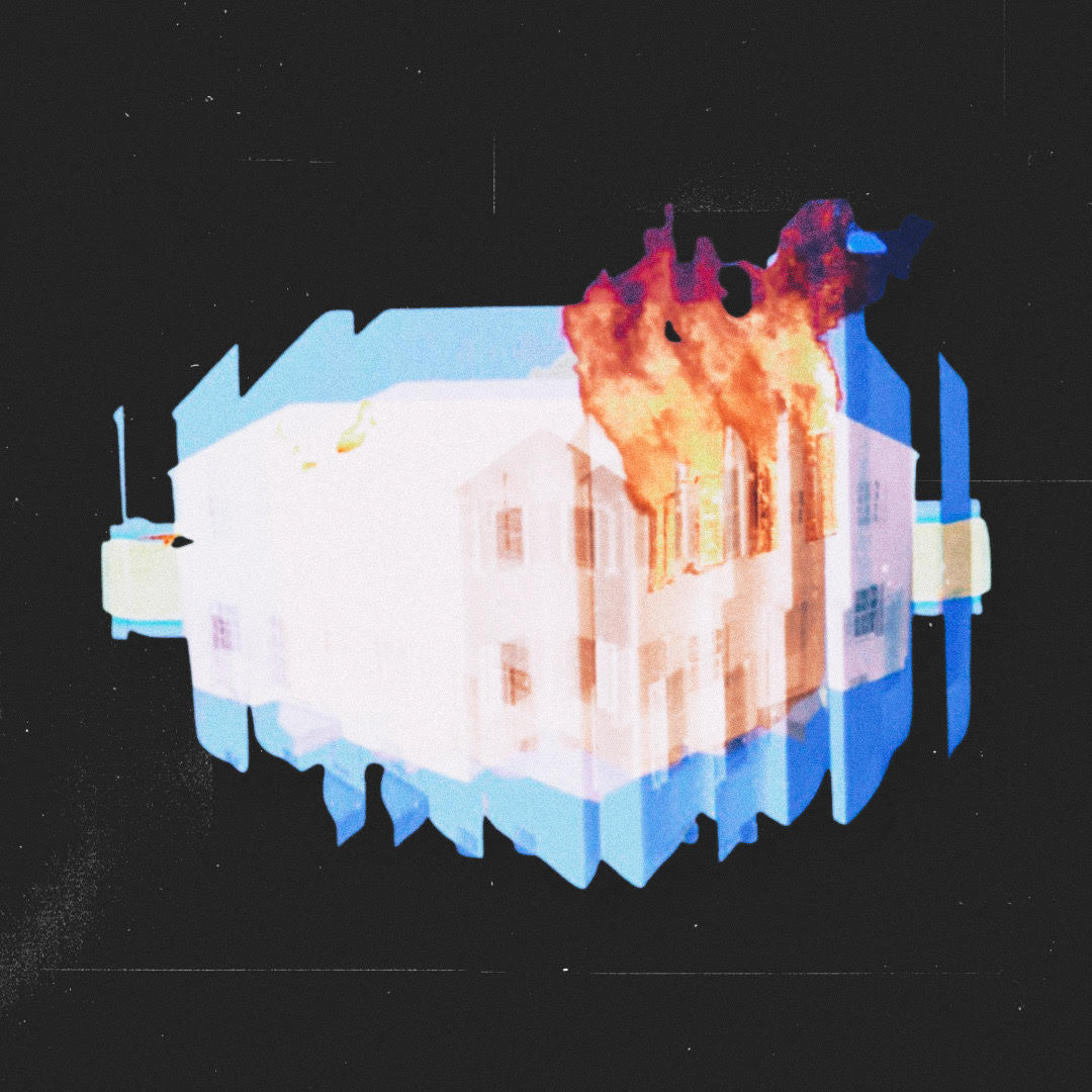 SKU#K155_CODE BASE: Kudzu Beetle