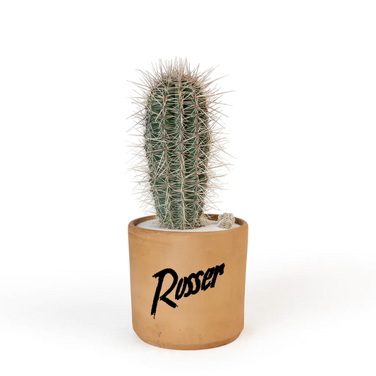 SKU#J100_HARDWARE: Jactus the Cactus Jr. Edition by ROSSER